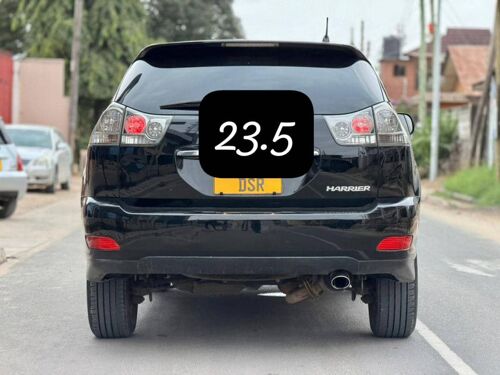 Tako la nyani LINAUZWA MWANZA 