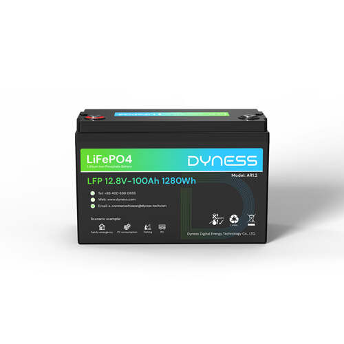 DYNESS Lithium Battery