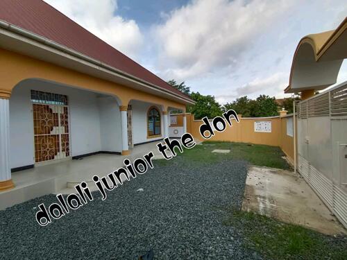 One bedroom apartments for rent