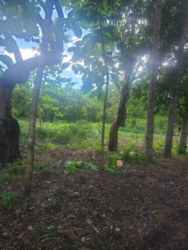 180 ACRES COMM. LAND,MLANDIZI