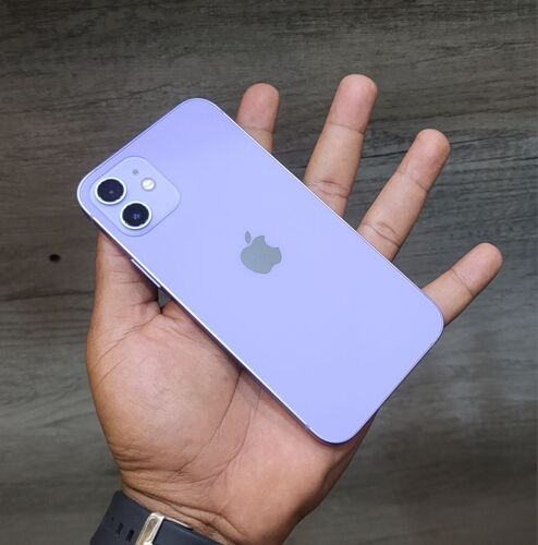 Iphone 12 Plain Double Line