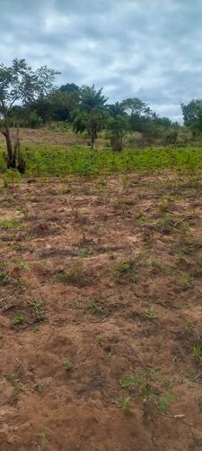 Viwanja Chanika karibu sana 