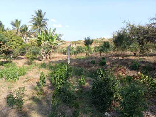 KIWANJA  KIBAMBA  1718 SQM
