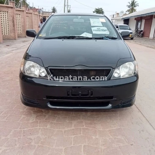 TOYOTA ALLEX (Chases Registration)