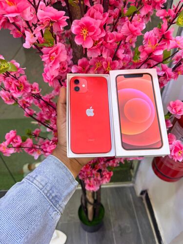 Iphone 12 Plain