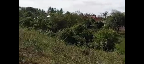 KIWANJA SQM.1,143,LUGURUNI 