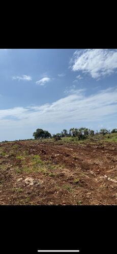 🌴 MIAMI BEACH PLOTS – MBUTU