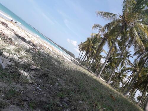 Beach plots for sale