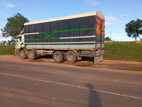 SCANIA MENDE 113