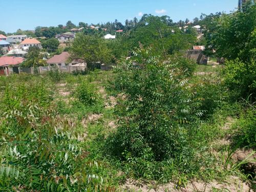 Plot for sale