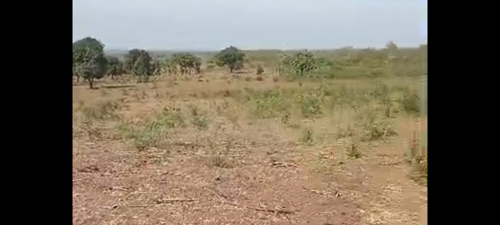 SHAMBA EKA 30,MIL.30 MBWEWE