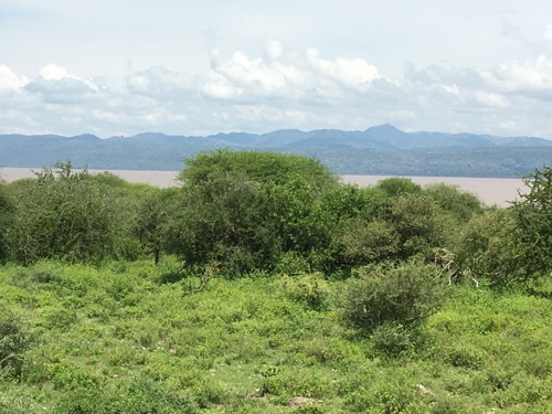Lake View Plot,L.K Manyara
