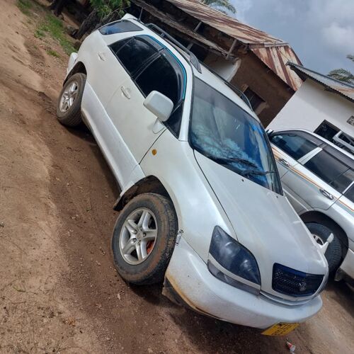 Harrier nzuri shinyanga cc2800