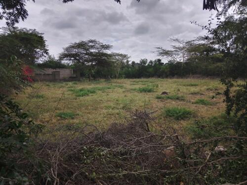 1500 SQM TITLED PLOT FOR SALE AT NJIRO | Kupatana