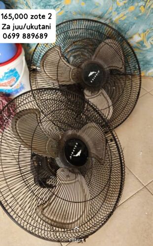 Fan