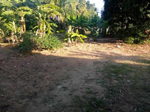 Plot for sale