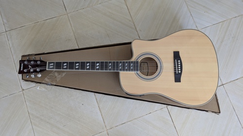 Acoustic electric guitar 