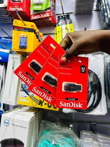 Flash SanDisk