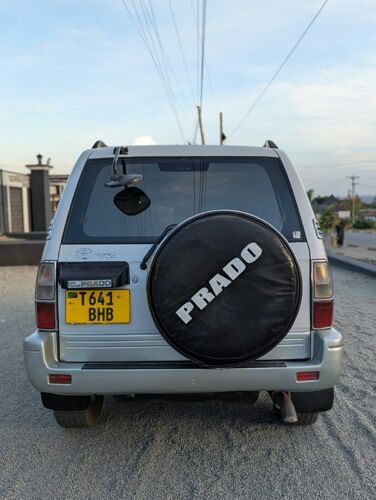 Prado mchaga