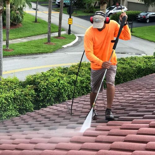 Roof cleaning Services