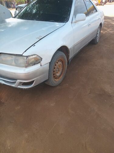 Grand mArk 11 Manyara