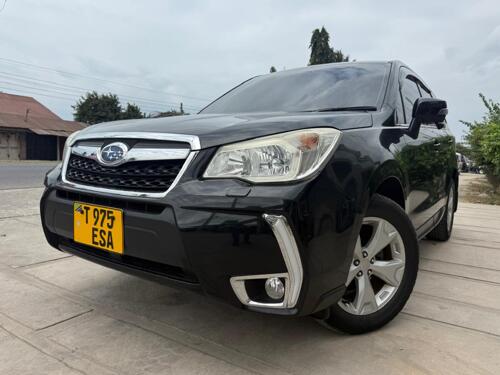 Forester mpyaa 31.5m
