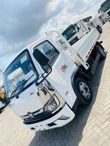 Foton Miller