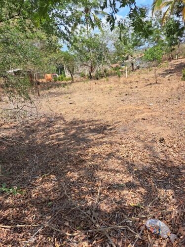 Plot nauza kijichi beach