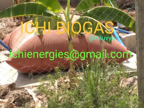 Biogas 