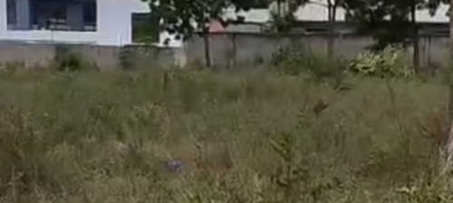 VIWANJA VILIVYOPIMWA SALASALA