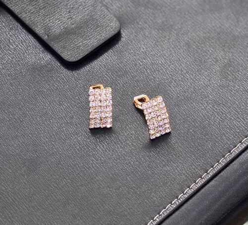 Mens Earrings 