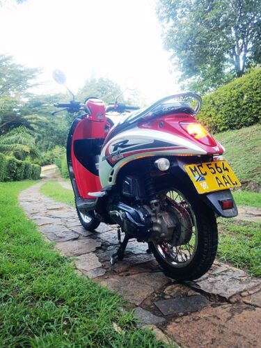 Honda scoopy 2019 for sale