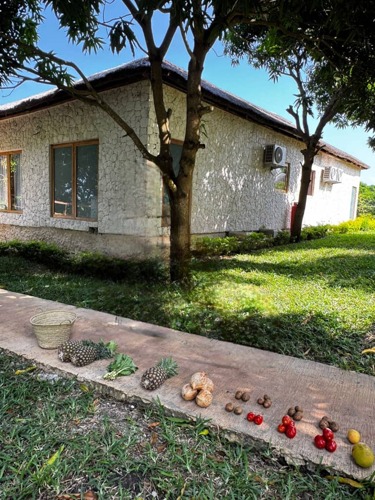 3 BDR POOL VILLA AT KIWENGWA