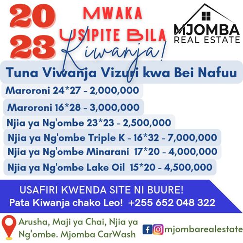 Viwanja Mjomba Real Estate