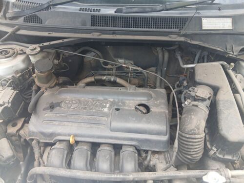 Rav4           frhsdldl