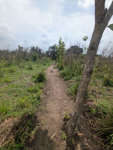 SHAMBA EKARI 18.5 BAGAMOYO 