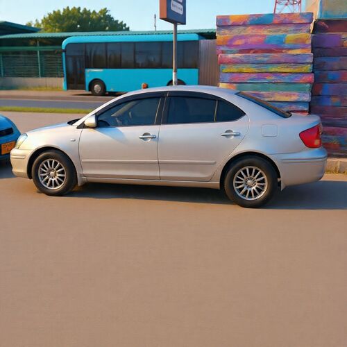 Premio new model zigzag