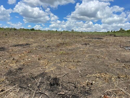 Shamba la eka 40 Linauzwa kiwa