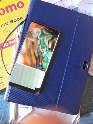 Samsung s10+