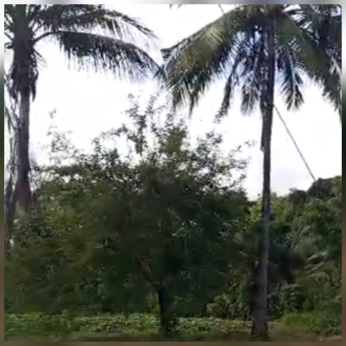 KIWANJA SQM.700 MBEZI MSUMI