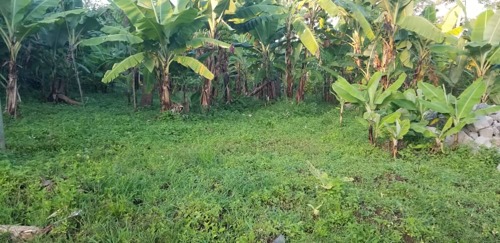 KIWANJA KINAUZWA