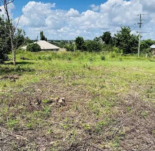 Viwanja Vinauzwa bei nafuu