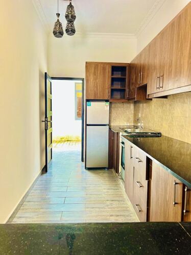 Apartments for rent mikocheni 