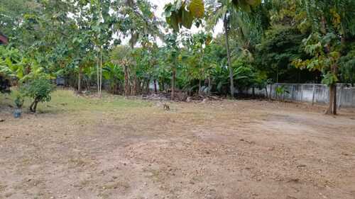 Plot for Sale in Oysterbay