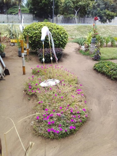 Landscaping & gardening