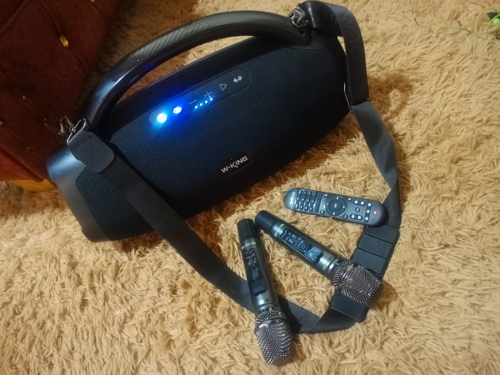 SPEAKER W KING D20 0777500879