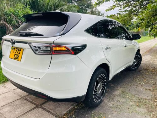 Harrier new model anaconda 