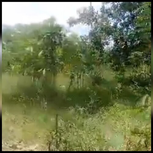 11.6 ACRES FARM,MWANAMBAYA