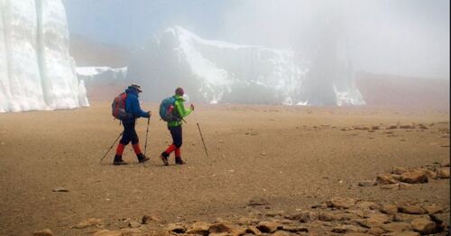 7 Days Kilimanjaro Trekking Lemosho route