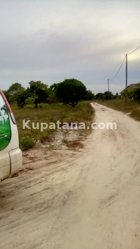 Viwanja Vya Kupima Na Sqwata For Sale At KIGAMBONI JIJINI Dar Call 0784862313